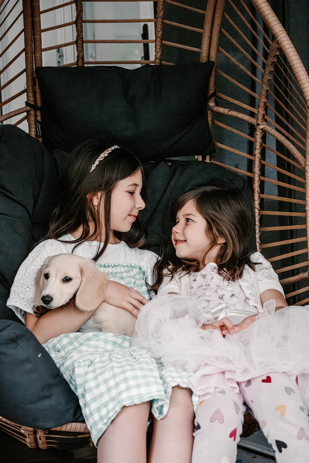Sisters holding their puppy on a swing chair